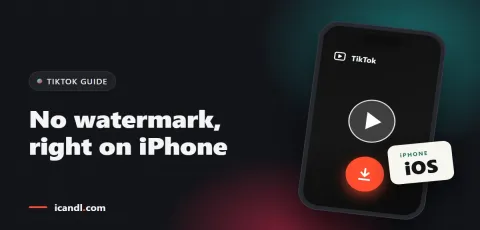 How to Save TikTok Videos Without Watermark on iPhone