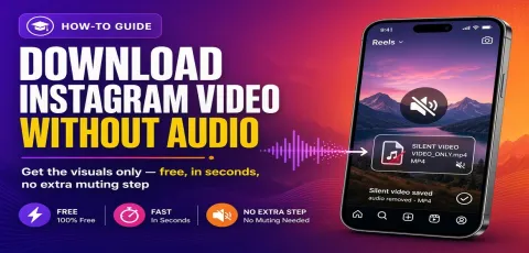 Download Instagram Video Without Audio (Muted Version)