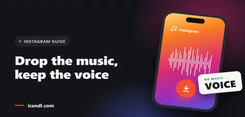 How to Remove Music From a Reel and Keep the Voice